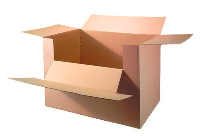 Container carton grande taille