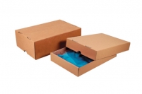 Caisse carton tlescopique